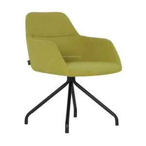 Rainbow-Chair- -IFD-B232-Lounge-Chair