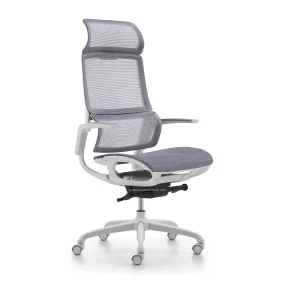 Rainbow-chair-Elanoel Ergonomic-Office -Chair-IFD-B265