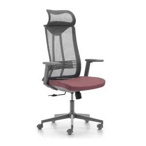 Rainbow-chair-Meshë-Ergonomic-Office-IFD-B253